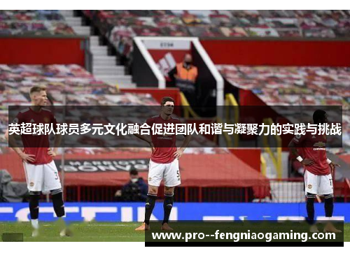 英超球队球员多元文化融合促进团队和谐与凝聚力的实践与挑战