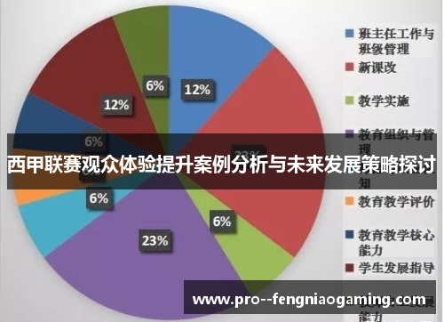 西甲联赛观众体验提升案例分析与未来发展策略探讨 西甲联赛观众体验提升案例分析与未来发展策略探讨