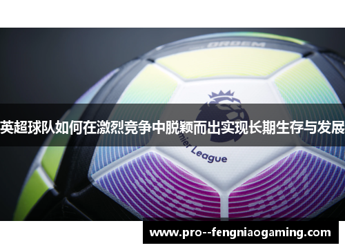 英超球队如何在激烈竞争中脱颖而出实现长期生存与发展 英超球队如何在激烈竞争中脱颖而出实现长期生存与发展