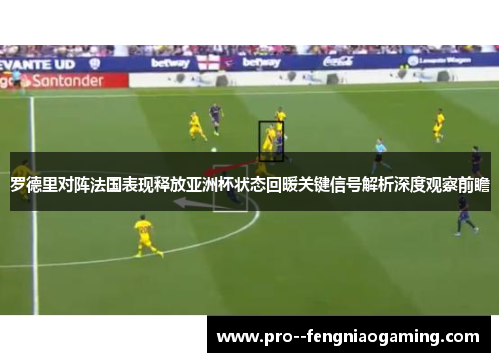 罗德里对阵法国表现释放亚洲杯状态回暖关键信号解析深度观察前瞻
