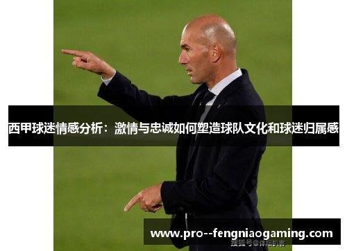 西甲球迷情感分析：激情与忠诚如何塑造球队文化和球迷归属感