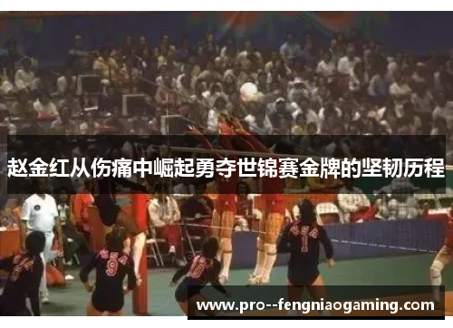 赵金红从伤痛中崛起勇夺世锦赛金牌的坚韧历程 赵金红从伤痛中崛起勇夺世锦赛金牌的坚韧历程