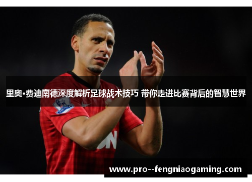 里奥·费迪南德深度解析足球战术技巧 带你走进比赛背后的智慧世界