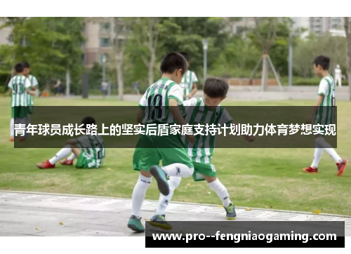 青年球员成长路上的坚实后盾家庭支持计划助力体育梦想实现