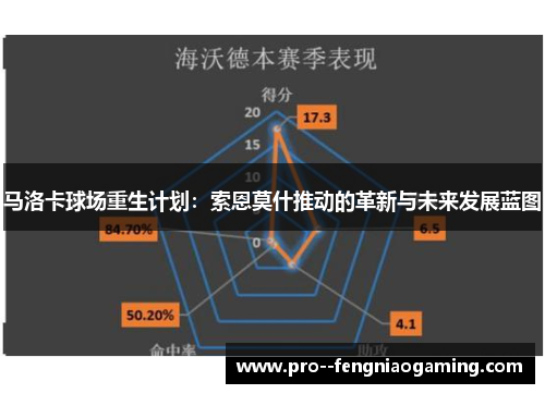 马洛卡球场重生计划：索恩莫什推动的革新与未来发展蓝图