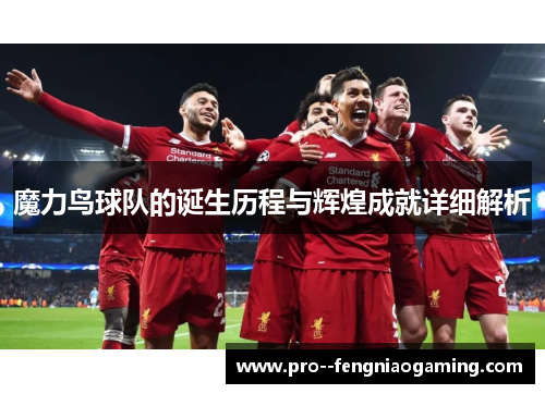 魔力鸟球队的诞生历程与辉煌成就详细解析