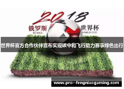 世界杯官方合作伙伴宣布实现碳中和飞行助力赛事绿色出行