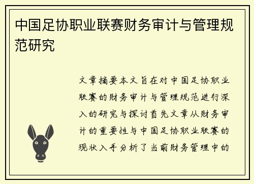 中国足协职业联赛财务审计与管理规范研究 中国足协职业联赛财务审计与管理规范研究