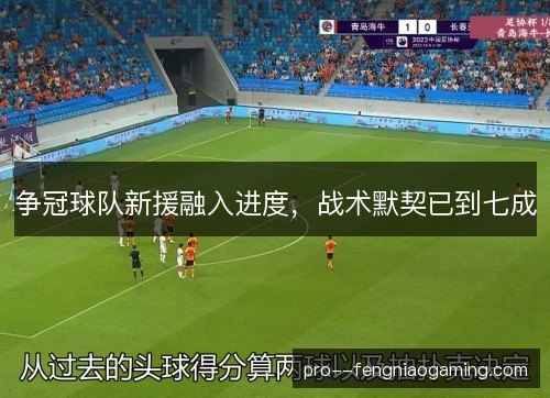 争冠球队新援融入进度,战术默契已到七成 争冠球队新援融入进度,战术默契已到七成